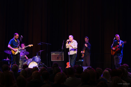 KONCERT Niels Skousen (3)