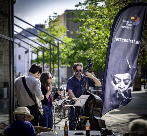 Blå Festival 2025 fredag a.jpg