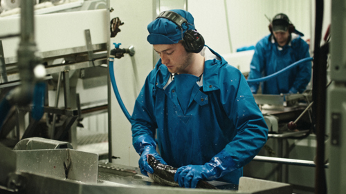 det sidste paradis_02.jpg